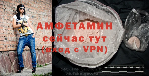 прущие грибы Коряжма