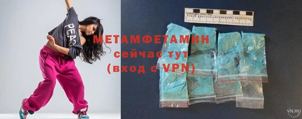 прущие грибы Коряжма