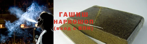 прущие грибы Коряжма