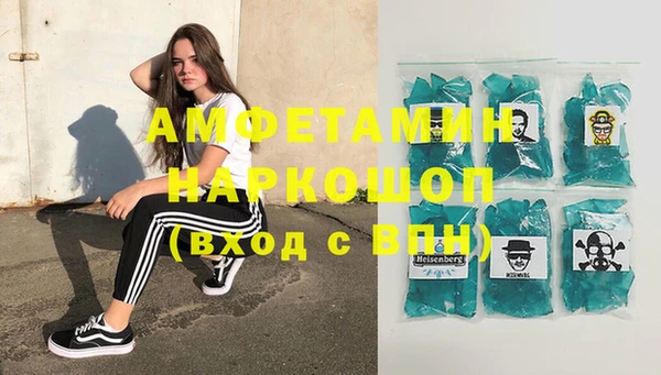 прущие грибы Коряжма
