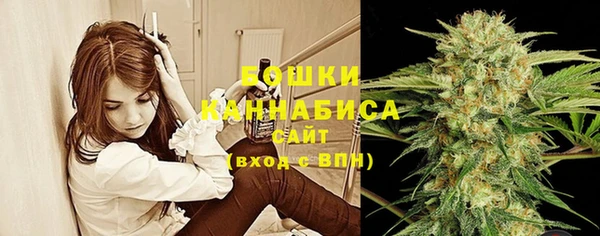 ГАЛЛЮЦИНОГЕННЫЕ ГРИБЫ Кулебаки