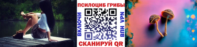 Купить где  Кирс  Псилоцибиновые грибы Psilocybine cubensis 
